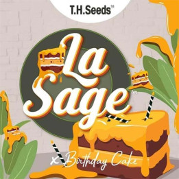 La S.A.G.E. Cake regular (TH Seeds)