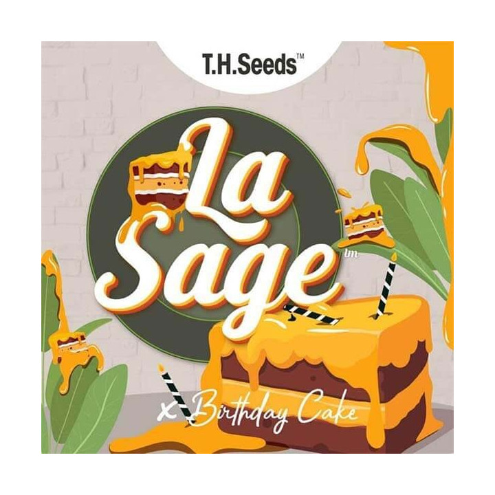 La S.A.G.E. Cake regular (TH Seeds)