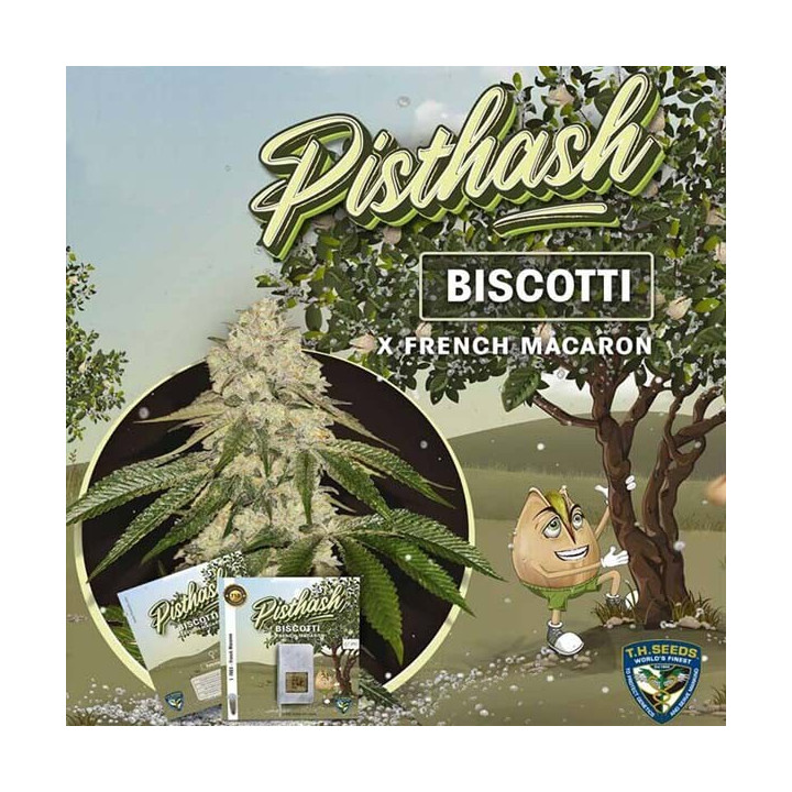 Pisthash (TH Seeds)