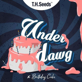 Underdawg Cake Regular | TH Seeds | Compra Semillas de CALIDAD