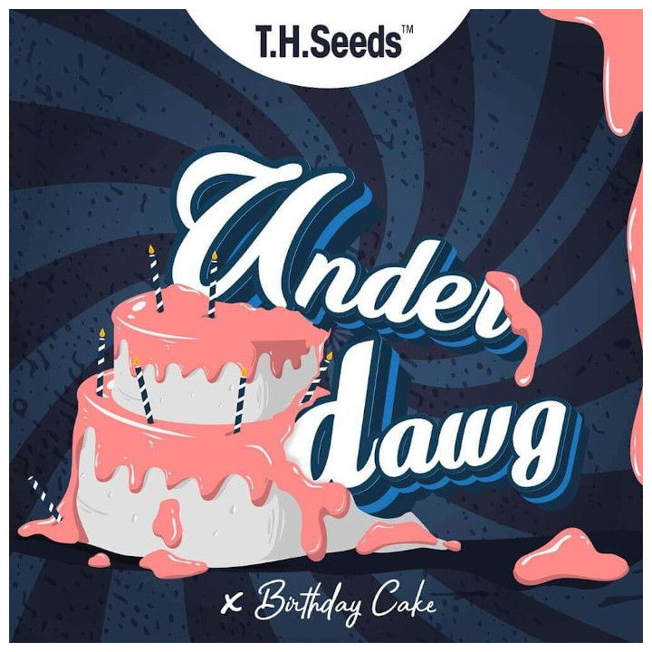 Underdawg Cake Regular | TH Seeds | Compra Semillas de CALIDAD