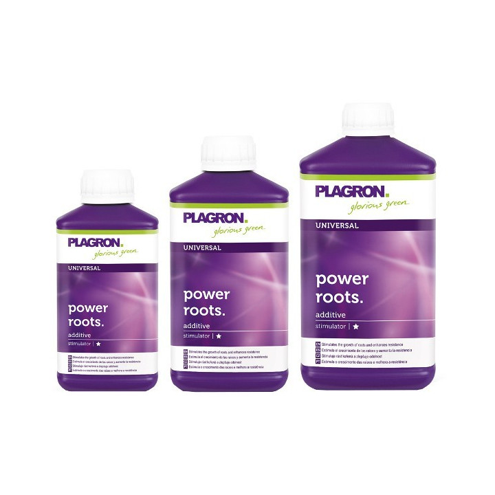 Plagron Power Roots