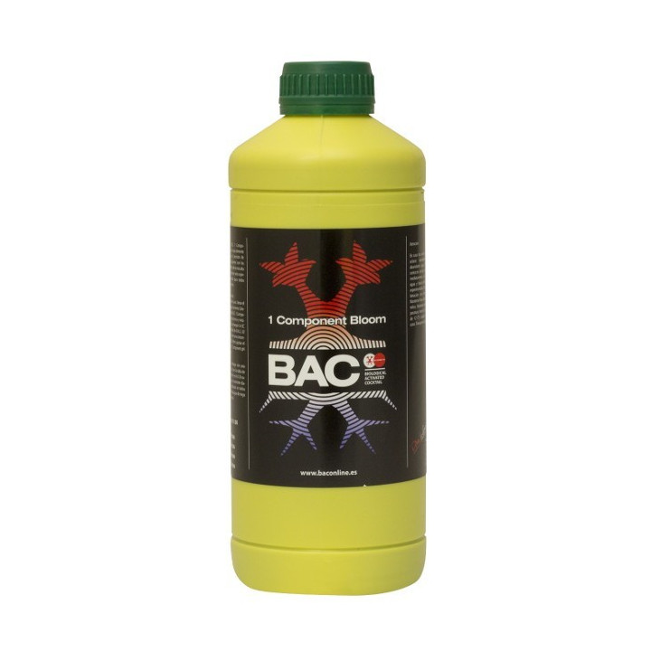 Bac 1 Component Bloom