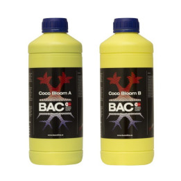 Bac Coco Bloom A y B 