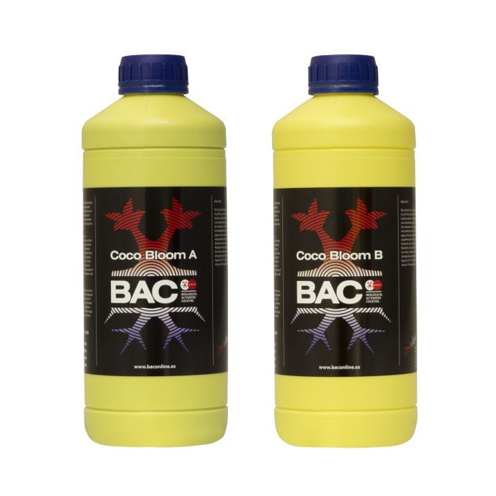 Bac Coco Bloom A y B 