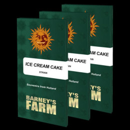 Semillas Ice Cream Cake - Barney's Farm