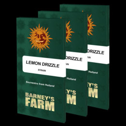 Semillas Lemon Drizzle - Barney's Farm