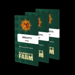 Semillas Biscotti - Barney's Farm