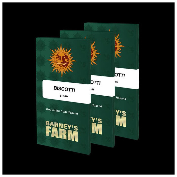 Semillas Biscotti - Barney's Farm