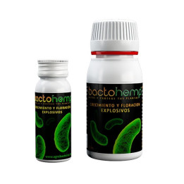 Bactohemp (Agrobacterias)