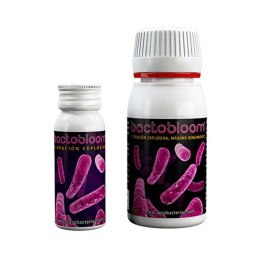 Bactobloom (Agrobacterias)