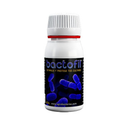 Bactofil (Agrobacterias)