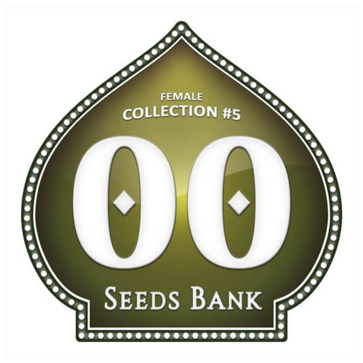 Pack de semillas Female Collection 5 - 00 Seeds