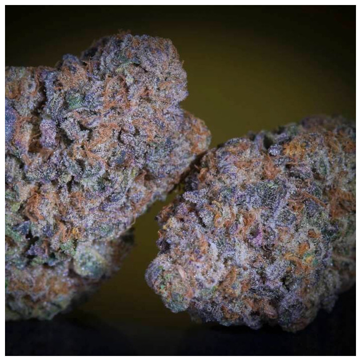 Semillas feminizadas Purple Mints 2 - Paradise Seeds