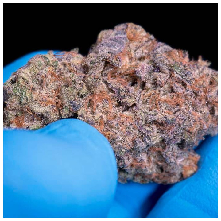 Semillas feminizadas Sweetopia - Paradise Seeds