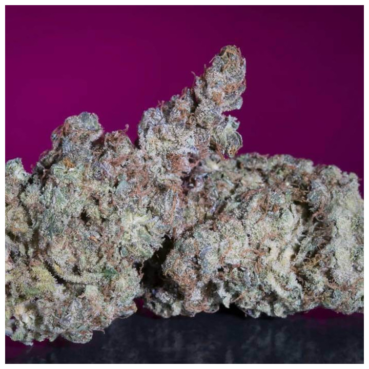 White Noise [ Paradise Seeds ] ☘️ Diosa Planta