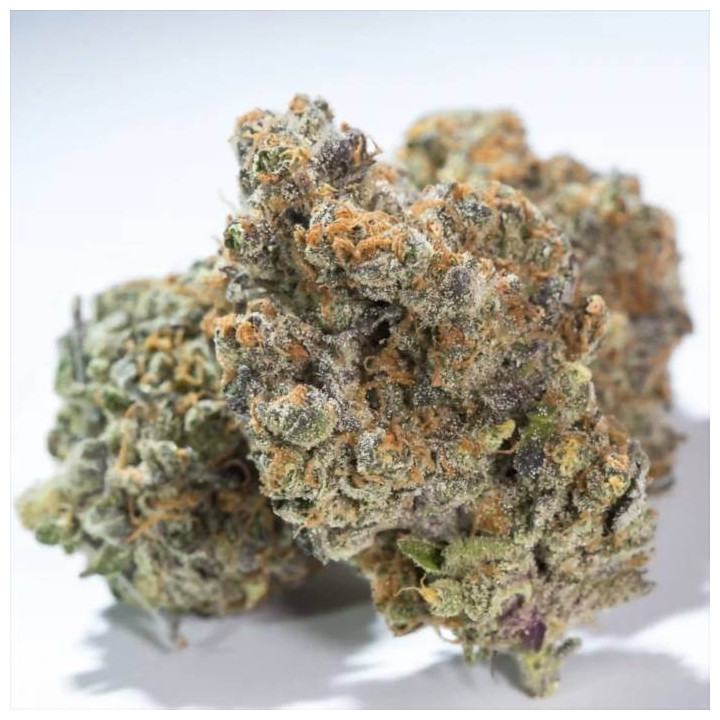 Glowstarz [ Paradise Seeds ] ☘️ Diosa Planta