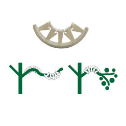 Soporte para ramas de plantas