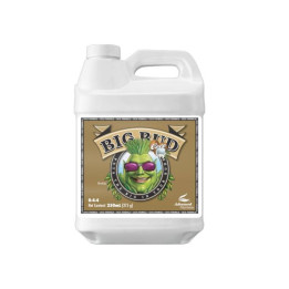 Big Bud Coco 250 ml de Advanced Nutrients