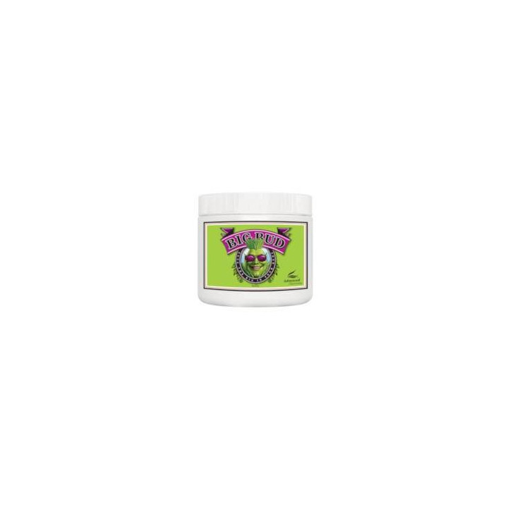 Big Bud Powder 130 g Advanced Nutrients