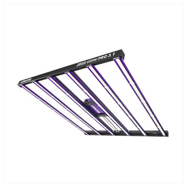 LED Zeus PRO 600W 3.1 Lumatek