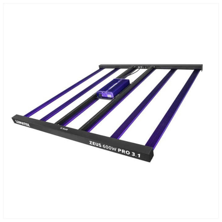 Zeus Pro 600W 3.1