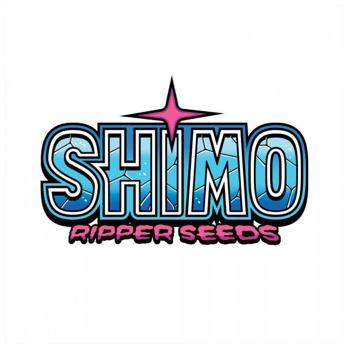 Semillas feminizadas Shimo de Ripper Seeds Logo