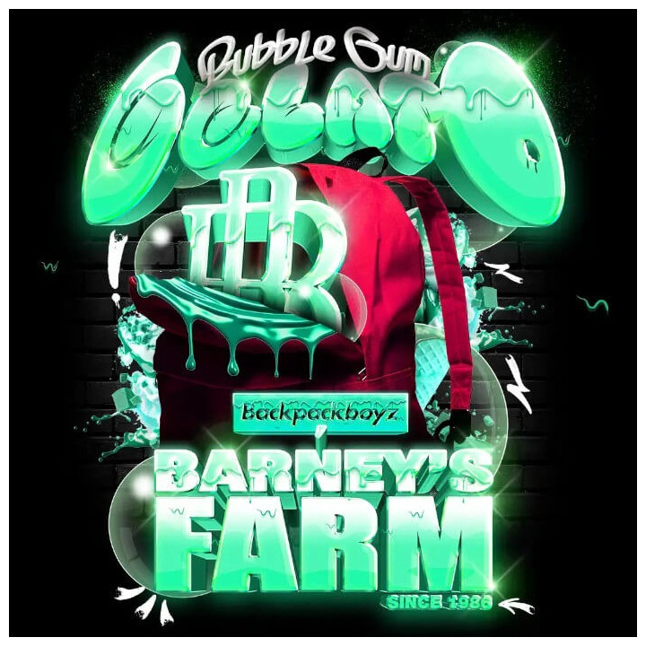 Semillas feminizadas Bubblegum Gelato de Barney's Farm