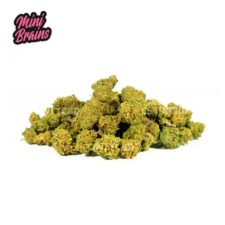 Cogollos CBD Mini Brains OnlyCBDfans