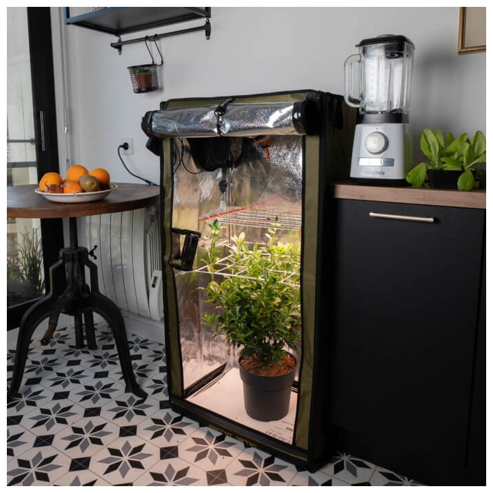 Kit de cultivo Secret Jardin For Twenty 100 2