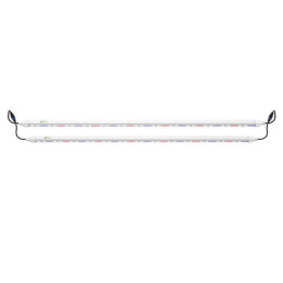 Tubos I Clone Led poara esquejes