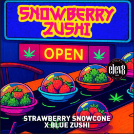 Snowberry Zushi [ Elev8 ] ☘️ Diosa Planta