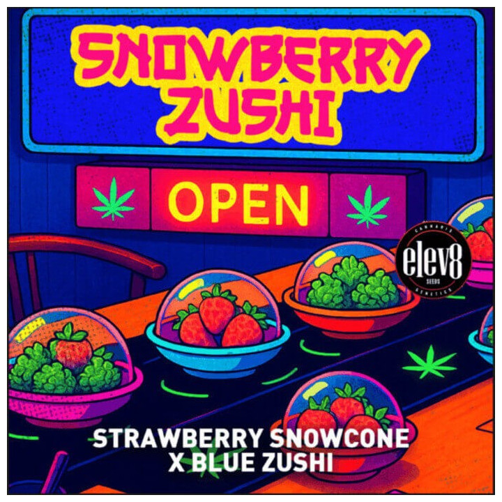 Snowberry Zushi [ Elev8 ] ☘️ Diosa Planta