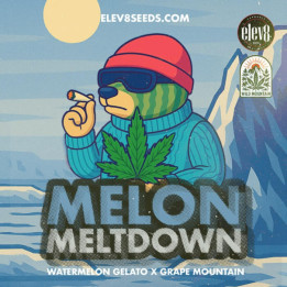 Melon Meltdown [ Elev8 ] ☘️ Diosa Planta