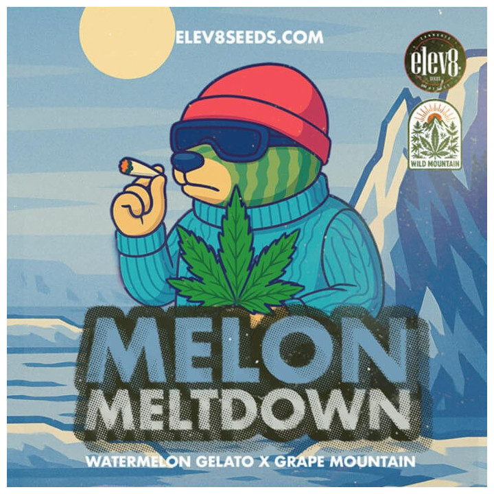 Melon Meltdown [ Elev8 ] ☘️ Diosa Planta