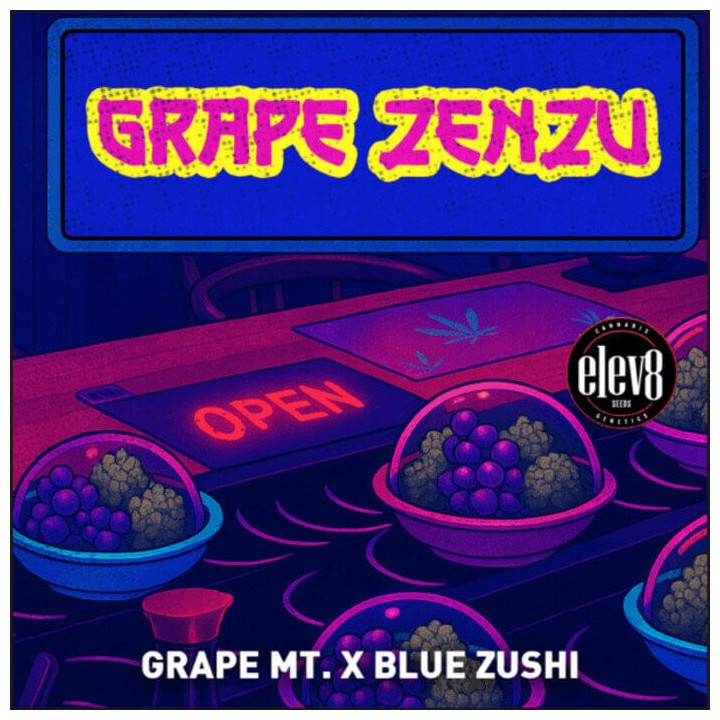 Grape Zenzu [ Elev8 ] ☘️ Diosa Planta