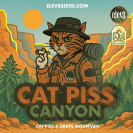 Cat Piss Canyon [ Elev8 ] ☘️ Diosa Planta