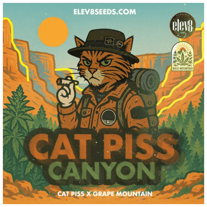 Cat Piss Canyon [ Elev8 ] ☘️ Diosa Planta
