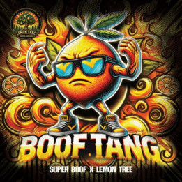 Boof Tang [ Elev8 ] ☘️ Diosa Planta