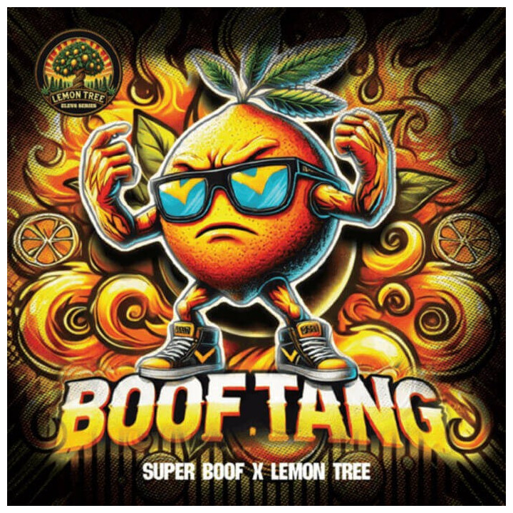 Boof Tang [ Elev8 ] ☘️ Diosa Planta