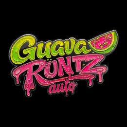 Semillas de marihuana autoflorecientes feminizadas Guava Runtz Auto de Fast Buds