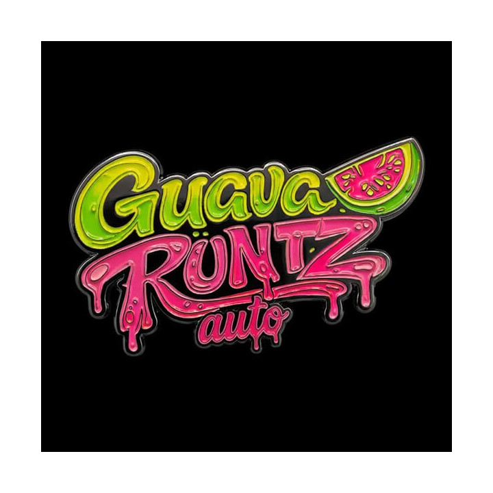 Semillas de marihuana autoflorecientes feminizadas Guava Runtz Auto de Fast Buds