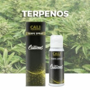 Terpenos