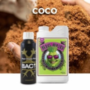 Coco