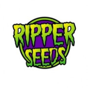 Ripper Seeds