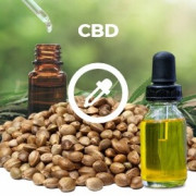 Semillas CBD