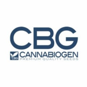 Semillas regulares Cannabiogen Seeds