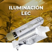 LEC Marihuana