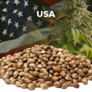 Semillas USA