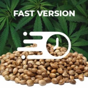 Semillas Fast Version
